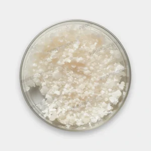 DCK (Deschloroketamine)