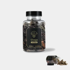 Chaga Extract – 120 Capsules